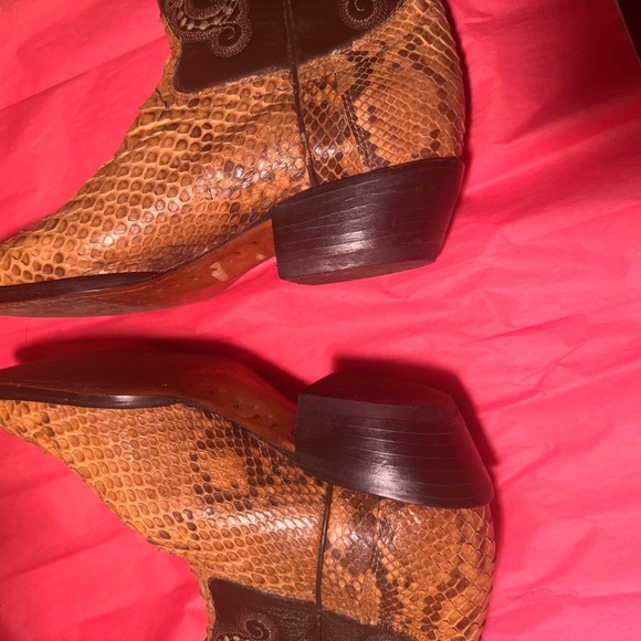 Pythons - Picture 4 of 5